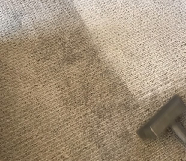 Steam Pro Carpet Cleaning & Pest Control Bourbonnais, IL